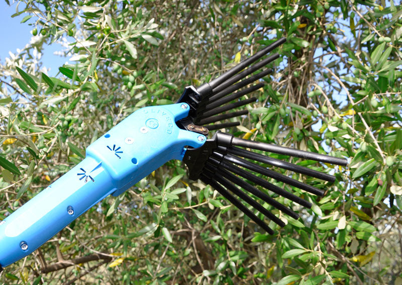 Oliveco Peigne vibreur électrique