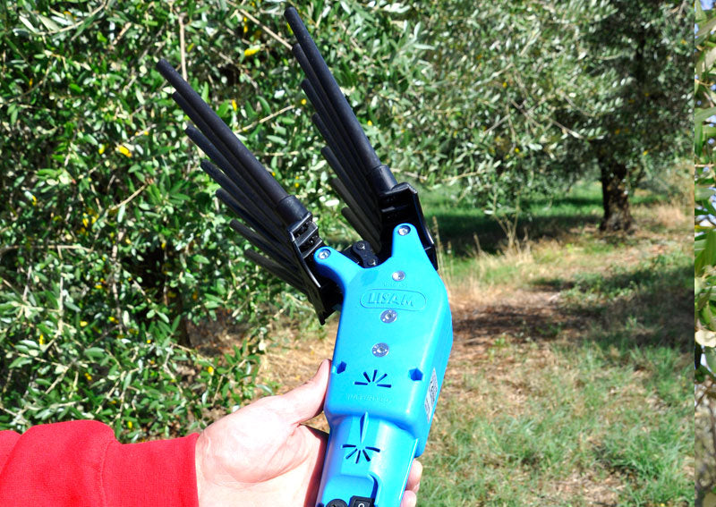 Oliveco Peigne vibreur électrique