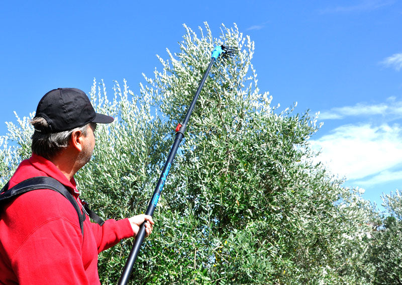 Oliveco Peigne vibreur électrique