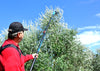 Oliveco Peigne vibreur électrique