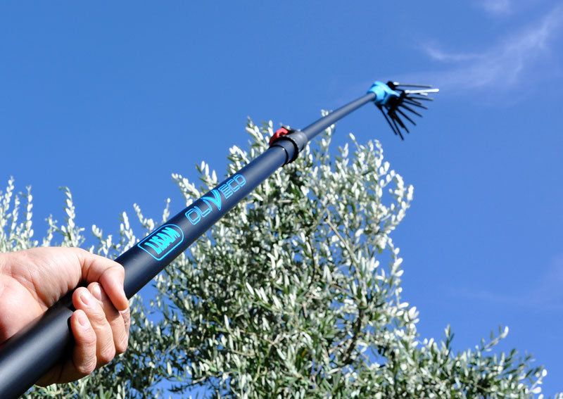 Oliveco Peigne vibreur électrique
