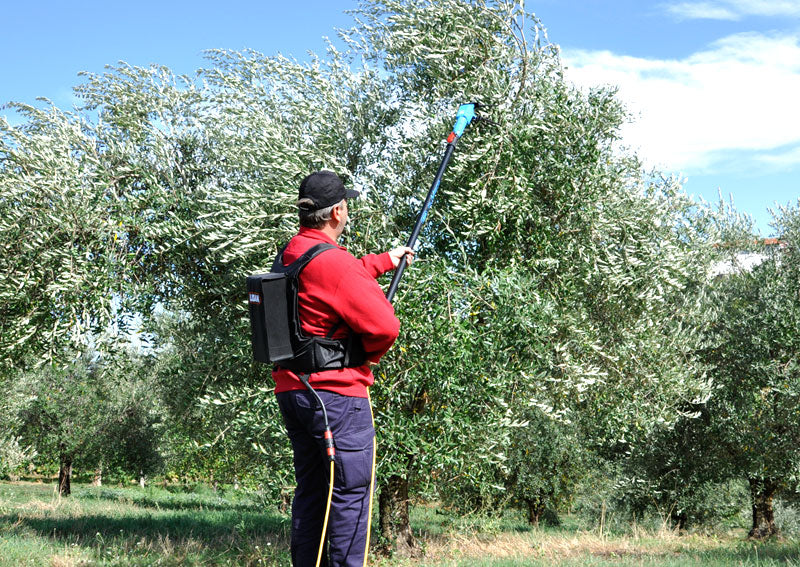 Oliveco Peigne vibreur électrique