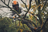 Valigetta di trasporto per il set potatore Stihl GTA 40