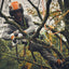 Valigetta di trasporto per il set potatore Stihl GTA 40