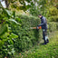 Panoramica laterale del tagliasiepi STIHL HSA 100 in utilizzo