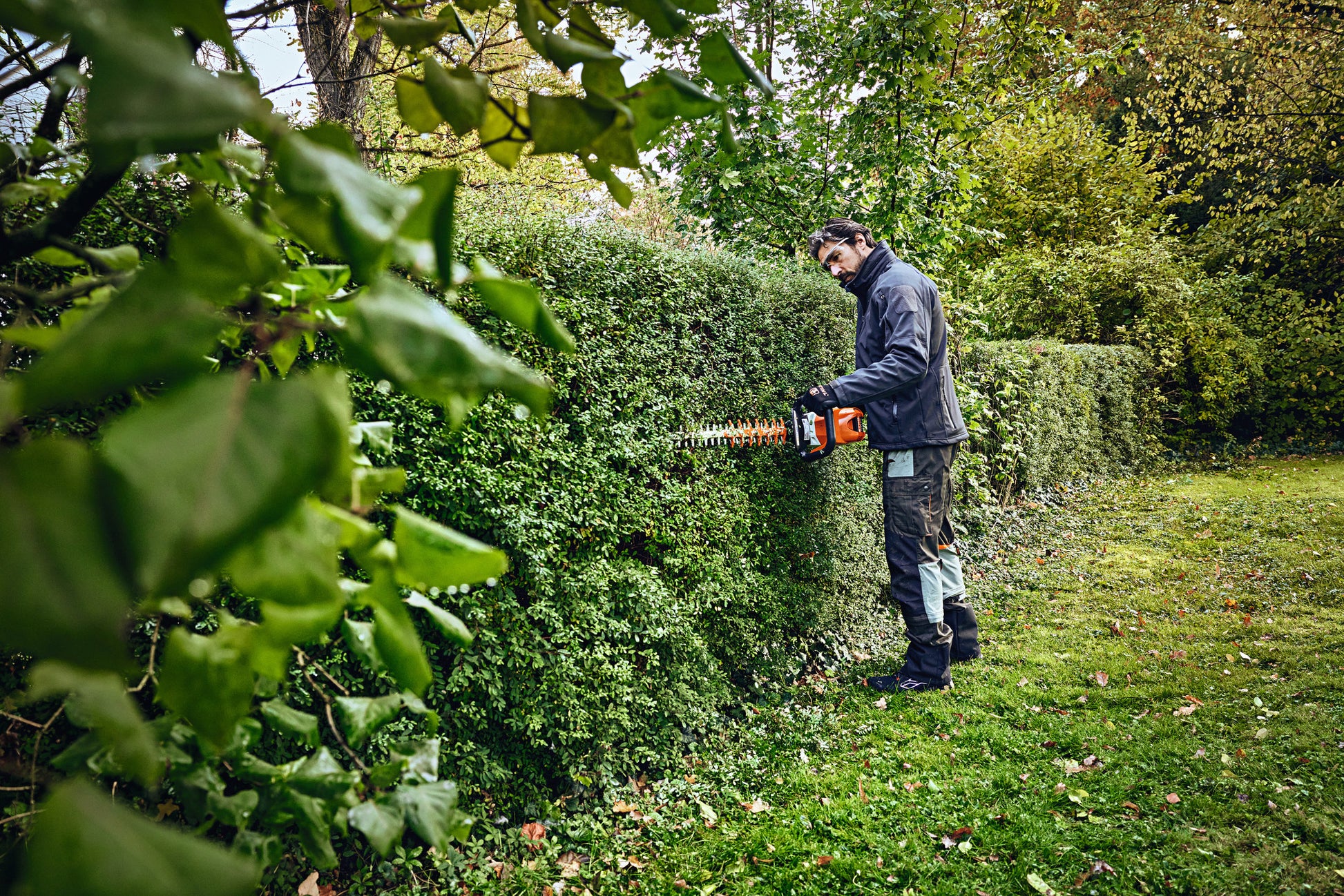 Panoramica laterale del tagliasiepi STIHL HSA 100 in utilizzo
