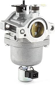 Carburateur 590400