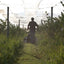Broyeur à fléaux RollerBlade BCS Pasquali Ferrari 75 cm avec couteaux mobiles en Y