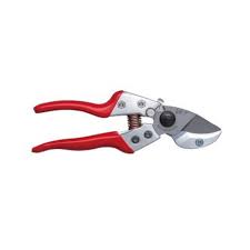 Ciseaux professionnels de taille - VA7Z